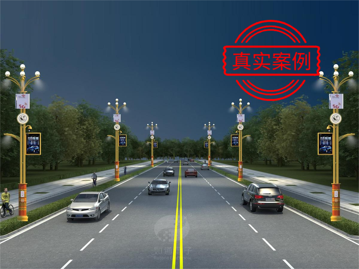 云南禄丰世纪大街道路项目-云南恐龙智慧灯